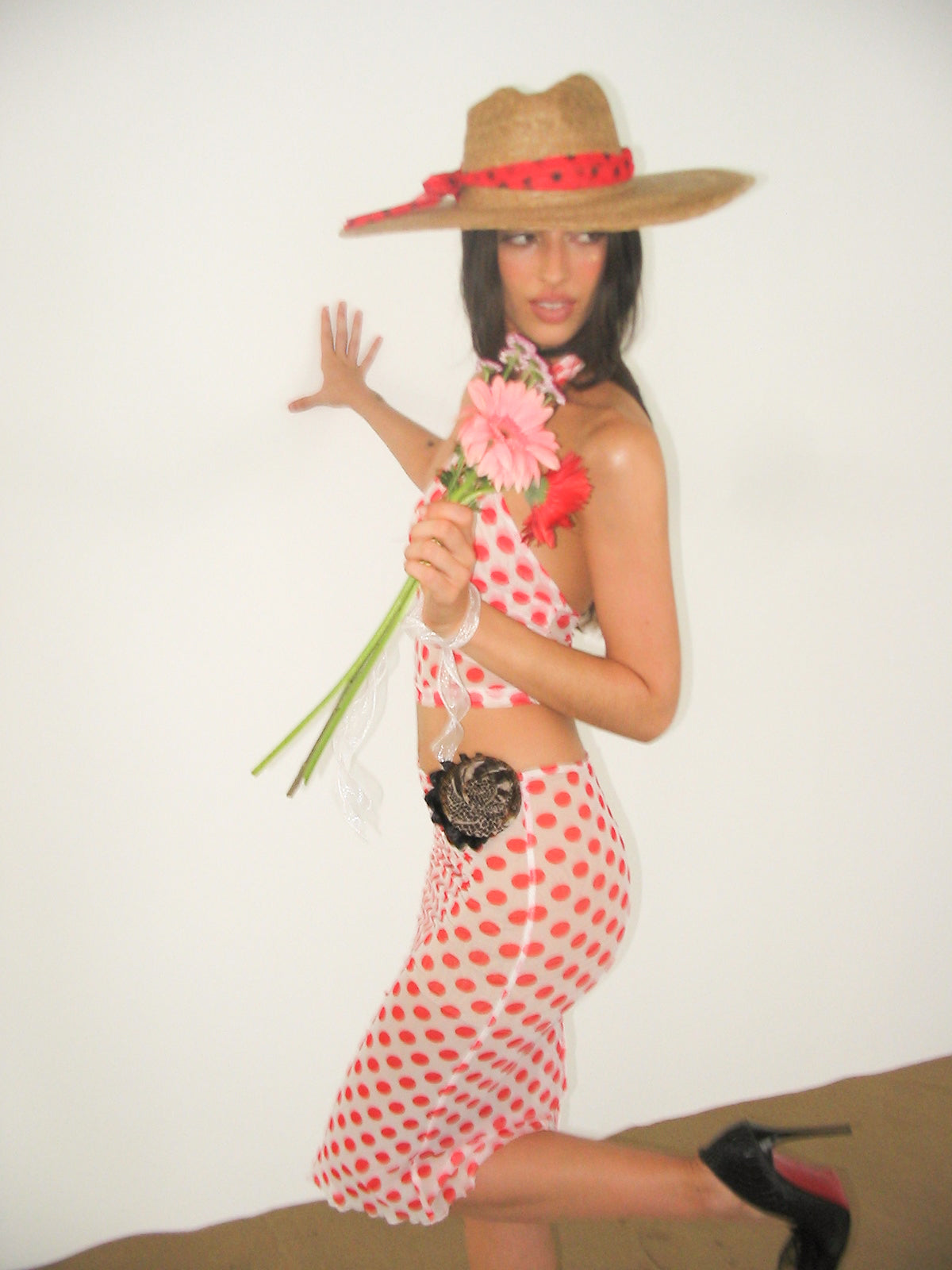 Cherry Skirt