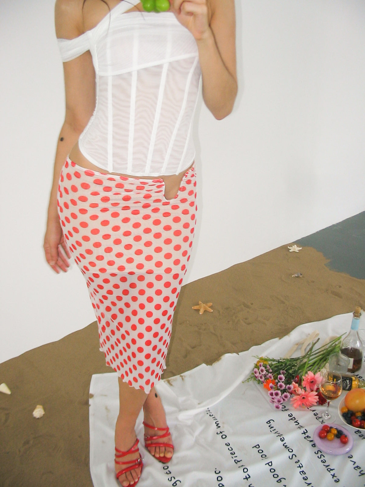 Cherry Skirt
